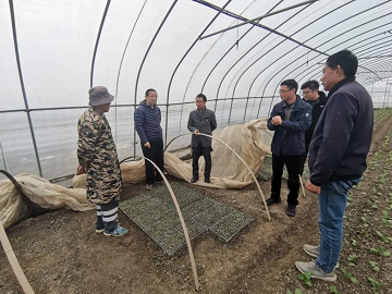 科技賦能百業，智慧農業守護常熟種質未來