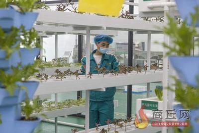 河南商丘 堅持“項目為王” 致力產業倍增 農業科技研發賦能高質量發展