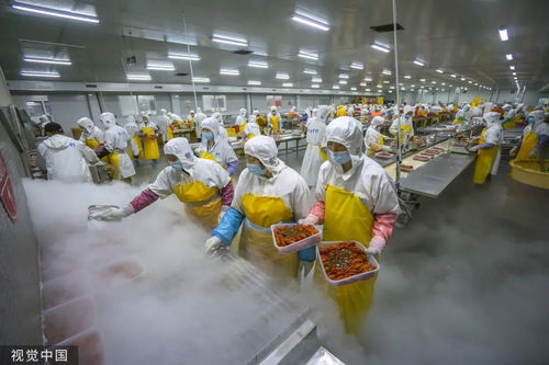打1折的臨期食品，到底能不能吃？農業科技研發給出答案