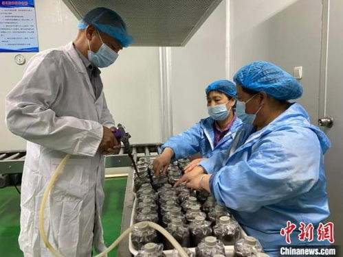 福建邵武 綠色優質高效引領農業現代化