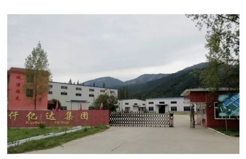 炭基肥創新引擎，綠色農業新篇章——福建龍創農業科技的自主創新之路