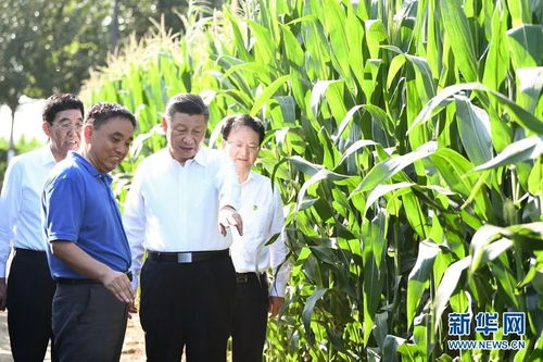 科技賦能鄉村振興 大力推進農業農村現代化與農業科技研發